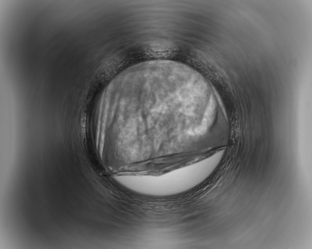 X0000093470647200711091609
