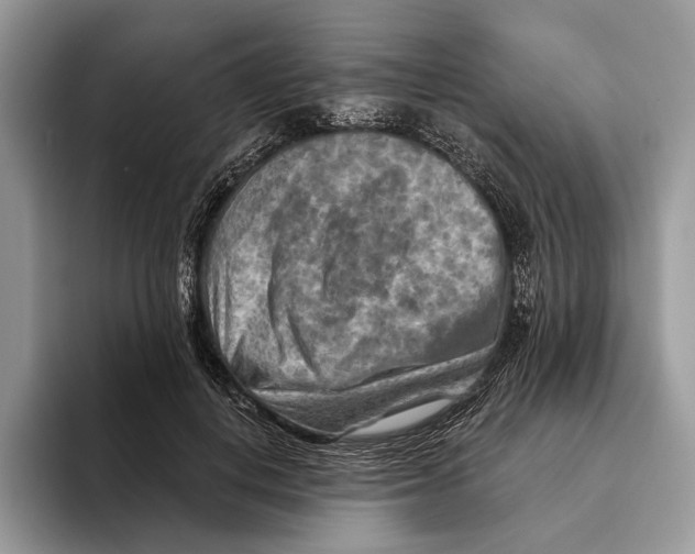 X0000093470648200711091609