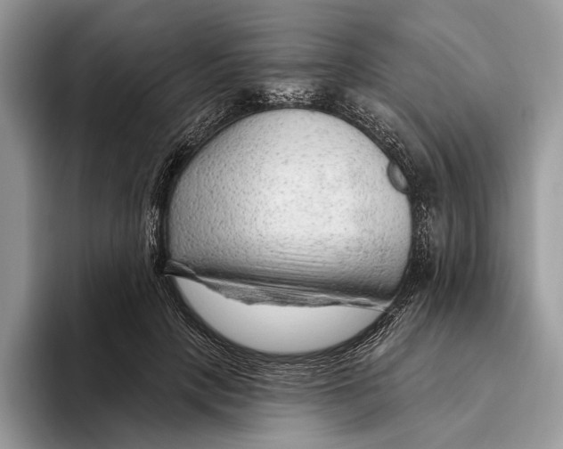 X0000093470649200711091609