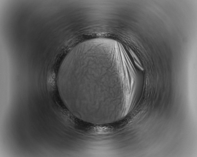 X0000093470650200711091609