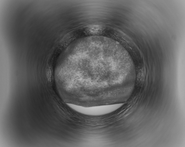 X0000093470651200711091609