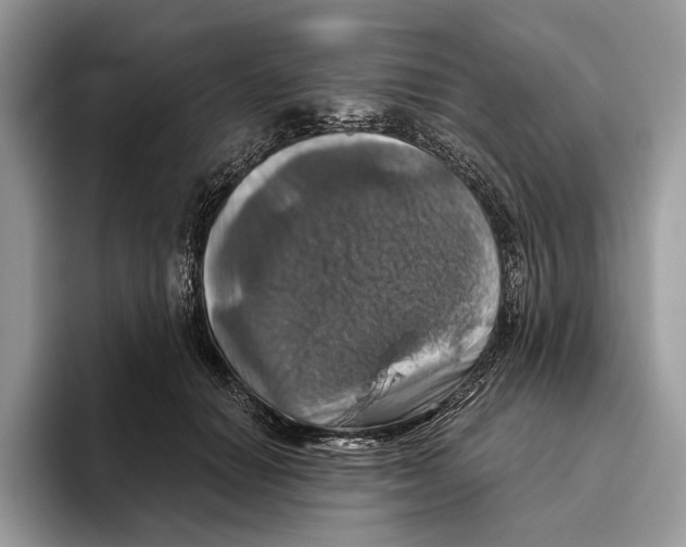 X0000093470654200711091609