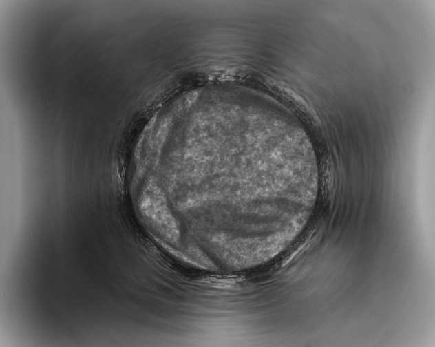 X0000093470661200711091609