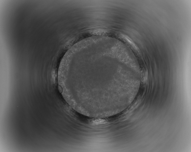 X0000093470669200711091609