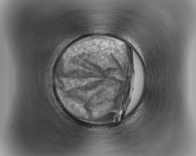 X0000093470673200711091608