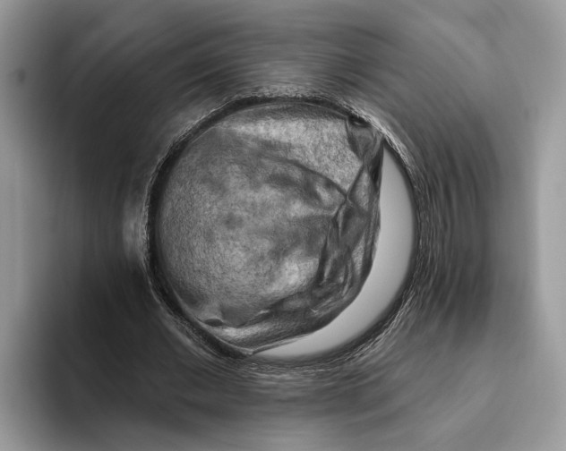 X0000093470677200711091608