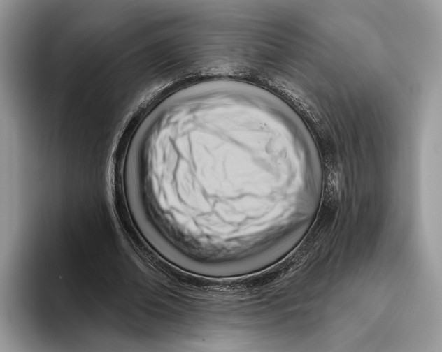 X0000093470678200711091608