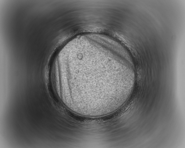 X0000093470679200711091608