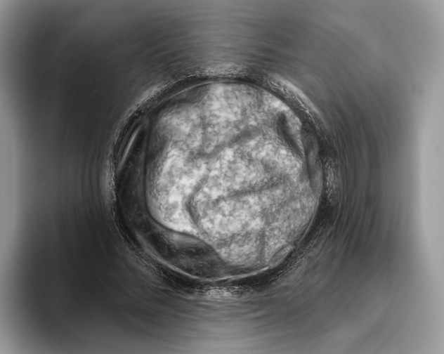 X0000093470684200711091608