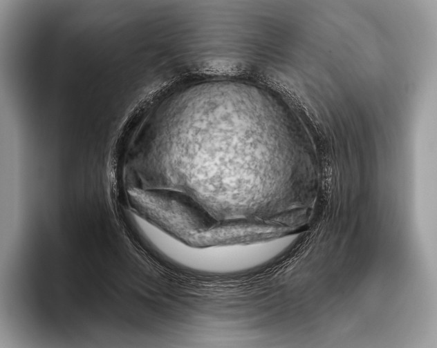 X0000093470688200711091608