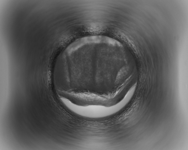 X0000093470689200711091608
