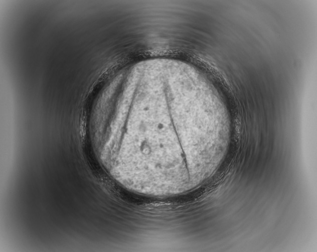 X0000093470691200711091608