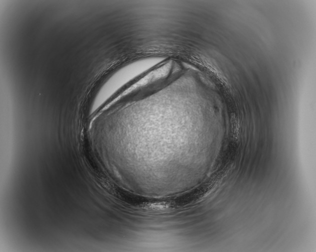 X0000093470692200711091608