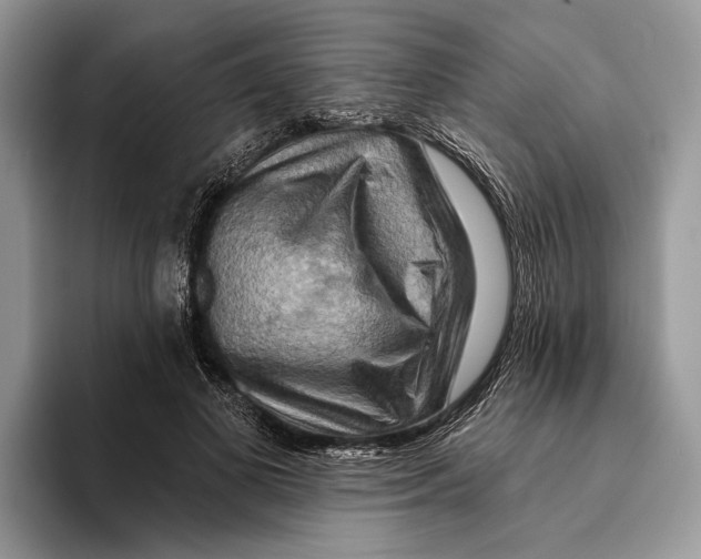 X0000093470693200711091608