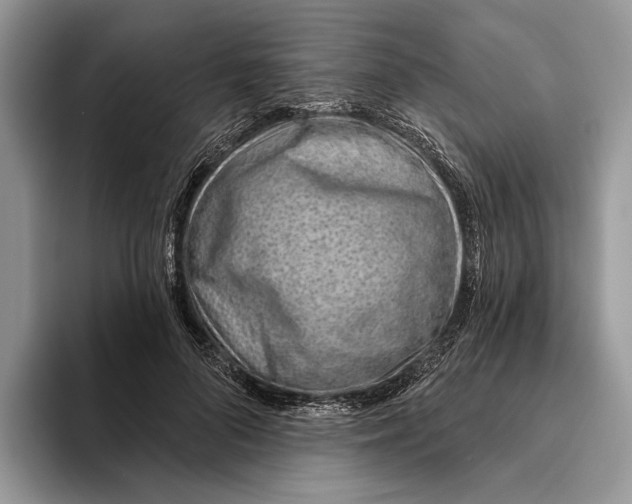 X0000093470696200711091608