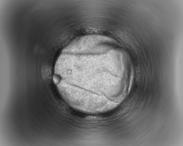 X0000093470699200711091608