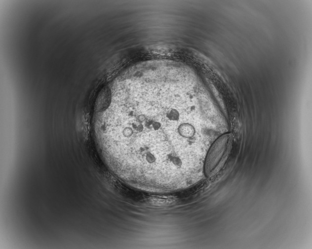 X0000093470707200711091608