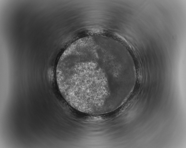 X0000093470715200711091608
