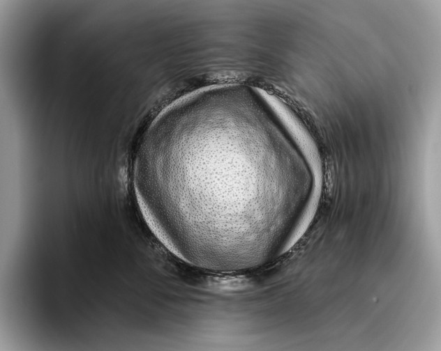 X0000093470716200711091608