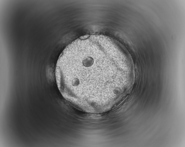 X0000093470719200711091608