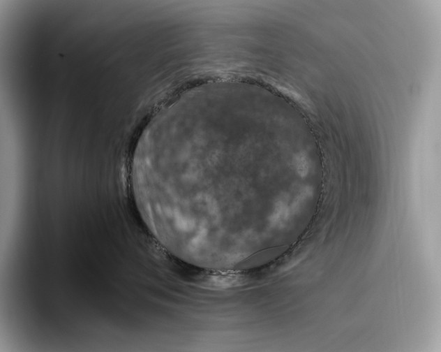X0000093470720200711091608