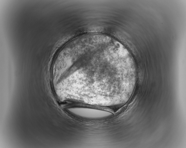 X0000093470721200711091607