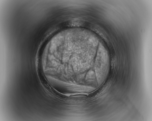 X0000093470722200711091607