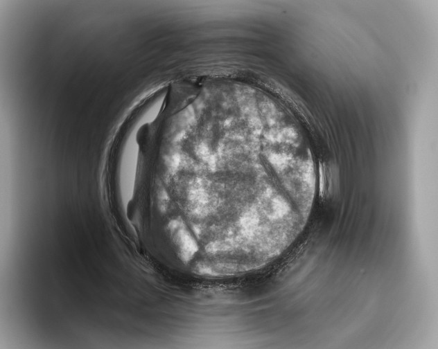 X0000093470723200711091607