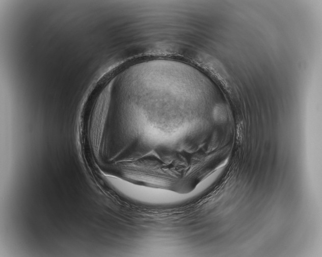 X0000093470724200711091607