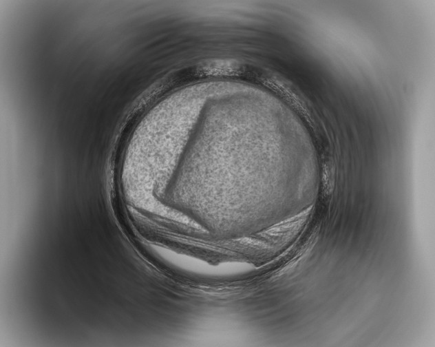 X0000093470725200711091607