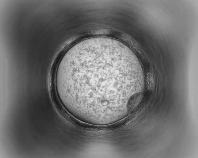 X0000093470726200711091607