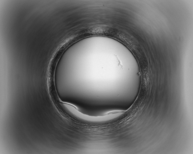 X0000093470728200711091607