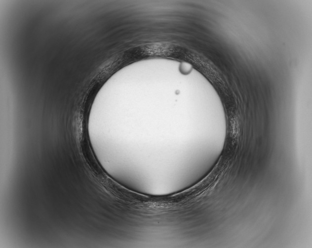 X0000093470733200711091607