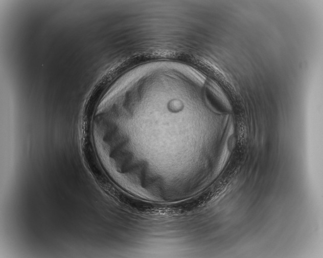 X0000093470736200711091607