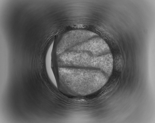 X0000093470747200711091607