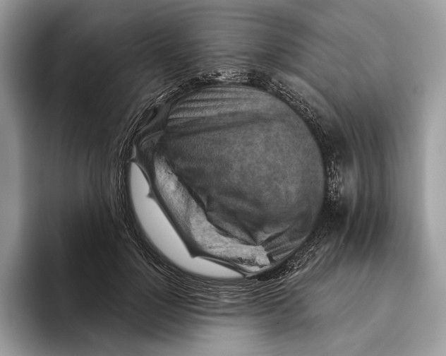 X0000093470748200711091607