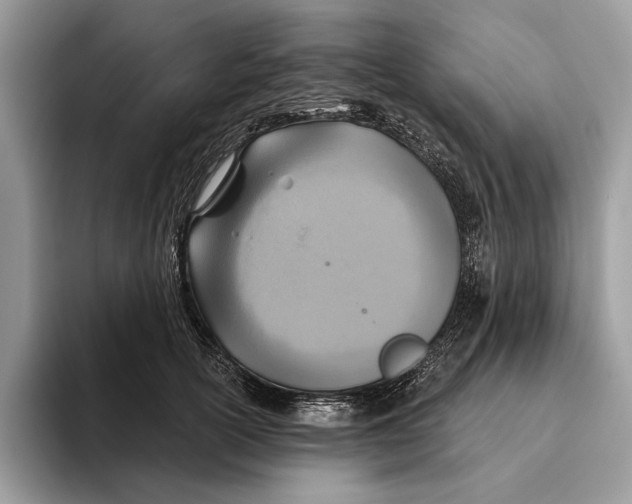 X0000093470754200711091607