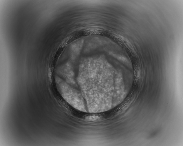 X0000093470759200711091607