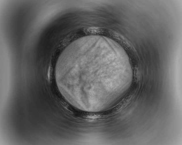 X0000093470760200711091607