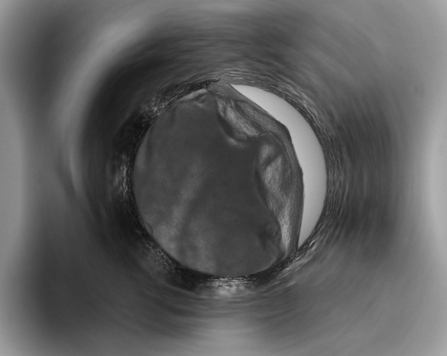 X0000093470762200711091607