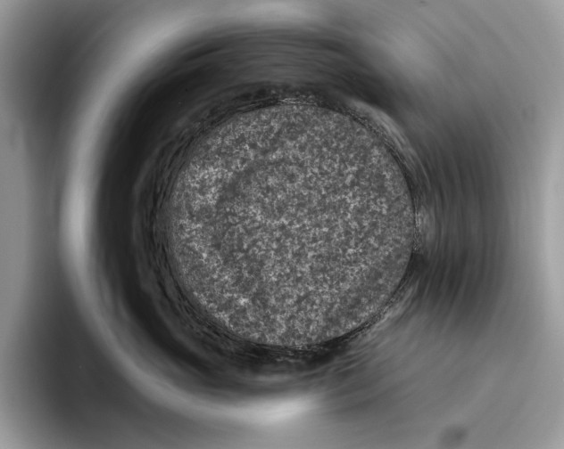 X0000093470765200711091607