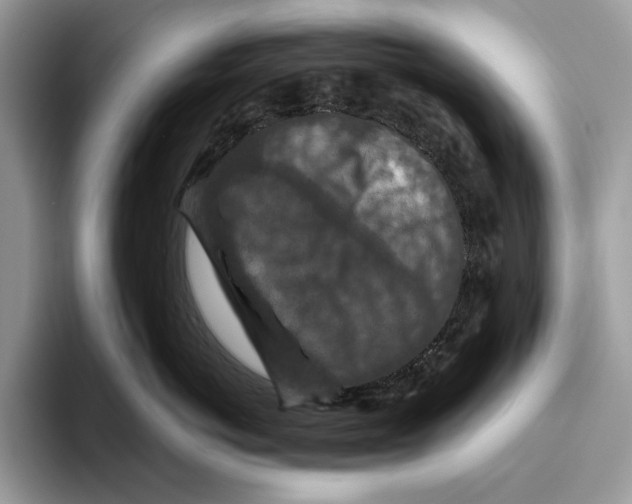 X0000093470766200711091607
