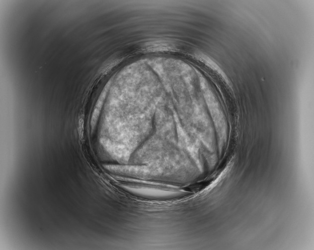 X0000093470777200711091607