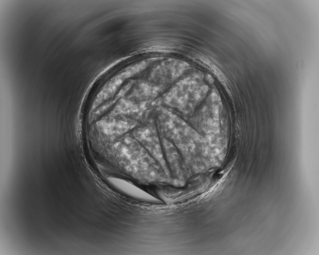 X0000093470779200711091607