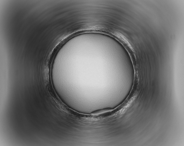X0000093470781200711091607