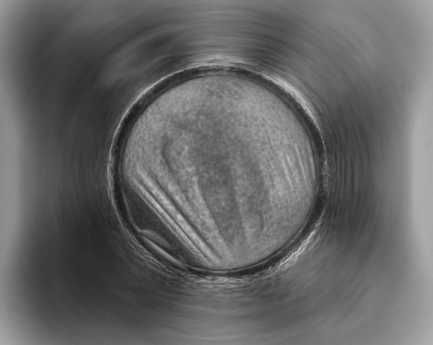 X0000093470783200711091607