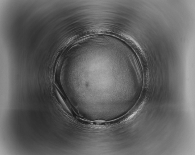 X0000093470785200711091607
