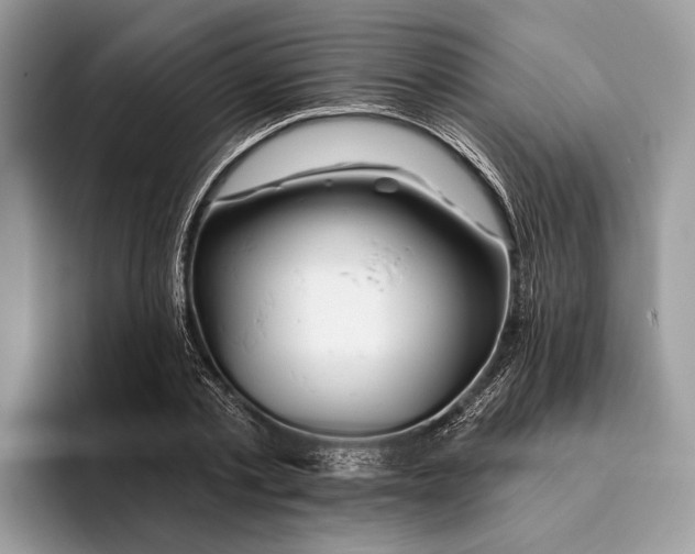 X0000093470789200711091607
