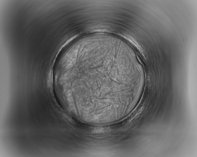 X0000093470790200711091607