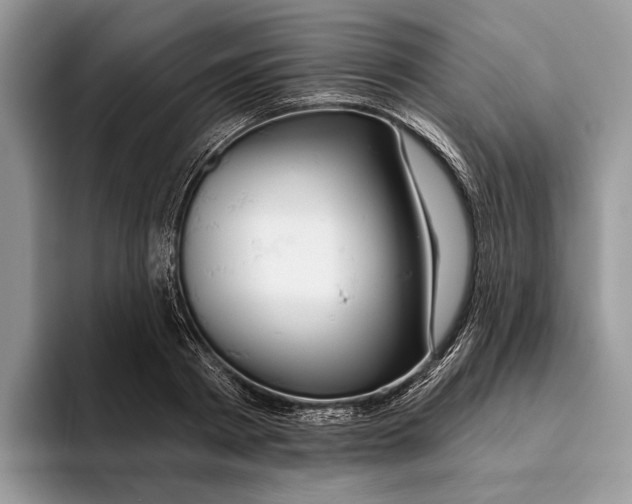X0000093470793200711091607